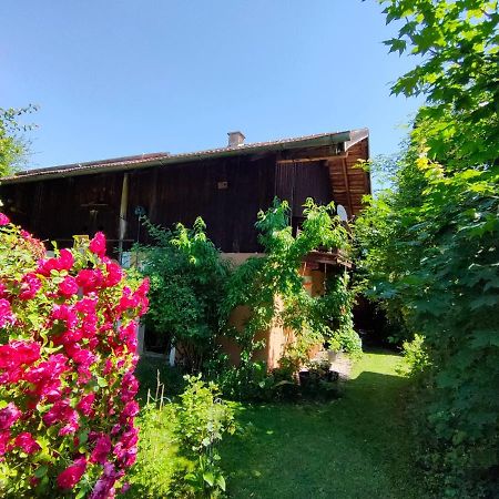 Gemütliche Ferienwohnung mit Kamin und Garten Garmisch-Partenkirchen Exterior foto